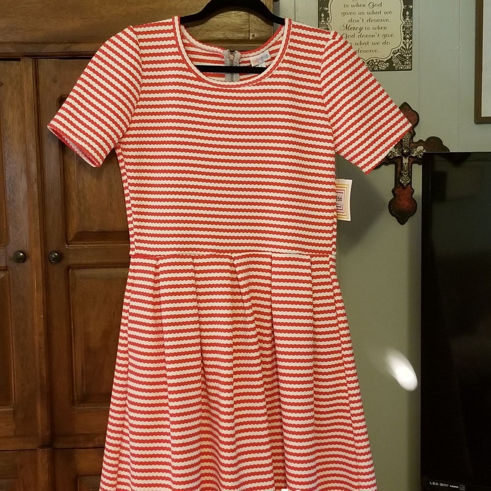 L Lularoe Amelia